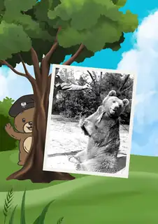 Wojtek! Der Bär, der Soldat wurde