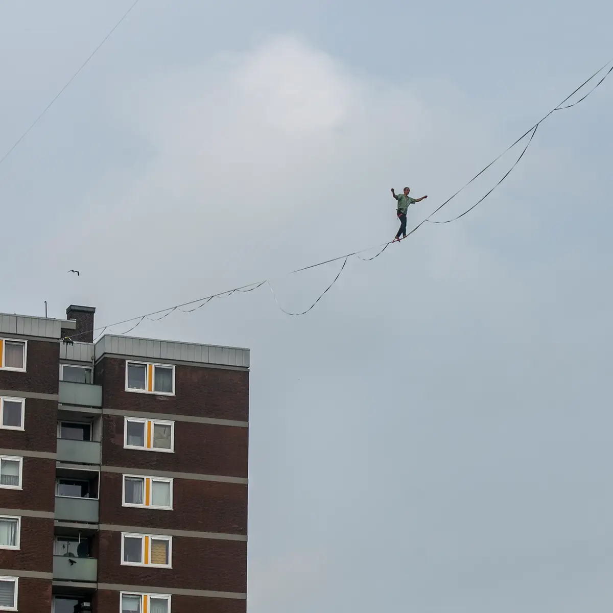 Circus in de Wijk Nijmegen Meijhorst — Nijmegen