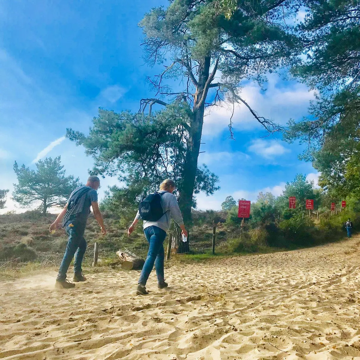 Molenhoek's Easy Walk — Molenhoek
