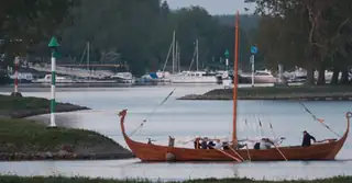 Wikingerschiff Dorestat-1 - Rudern