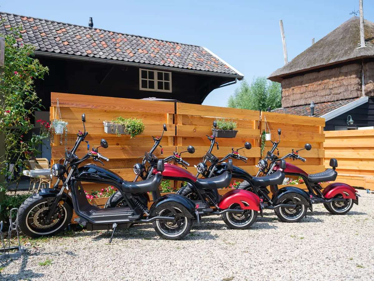 E-Chopper, E-Cruzer oder Step-Tour entlang der Linge — Lingedijk 199, Oosterwijk