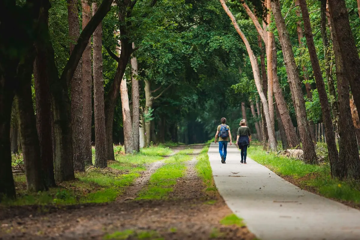 Walking tour: Wicherumloop — Wekerom