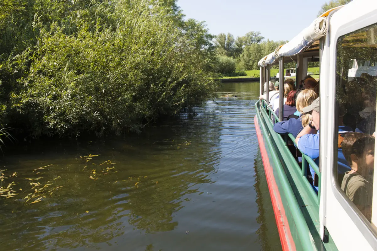 Flüsterbootfahrt durch Nationalpark De Biesbosch — Drimmelen