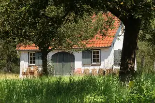Pick Apples and Cooking Pears
