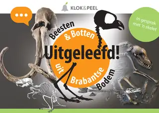 LIVED OUT! Beasts & Bones from Brabant's Soil