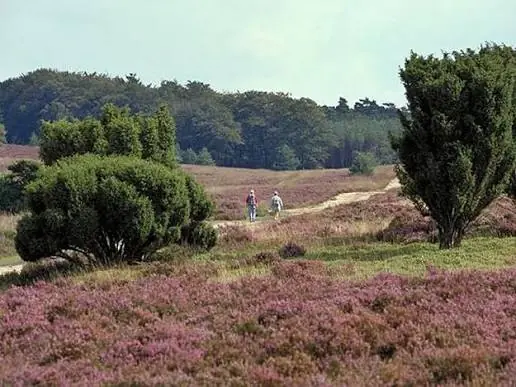 IVN-Wanderung durch die Kampina — Oirschot