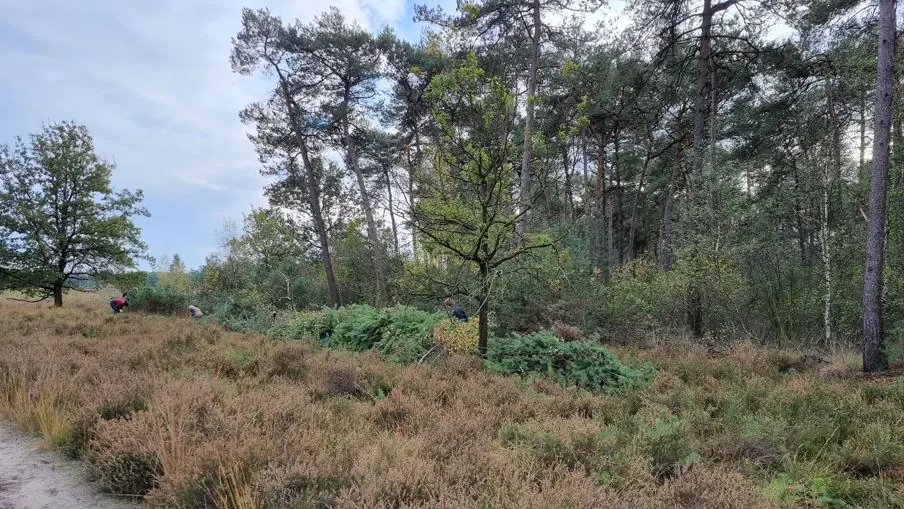 Monatliche Landschaftspflege — Postelscheheideweg 12, Luyksgestel