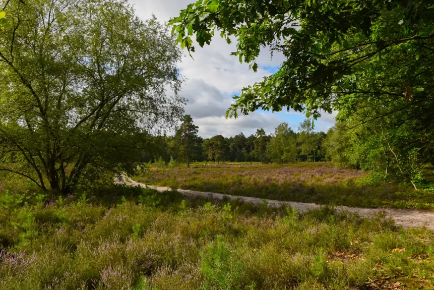Krabbentocht — Balsedreef 1, Bergen op Zoom