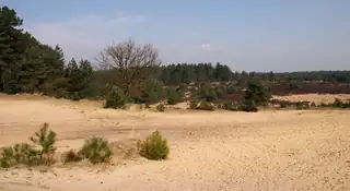 Exkursion Kriekelareduinen