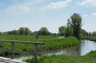 Wandelmarathon Roos van Roosendaal