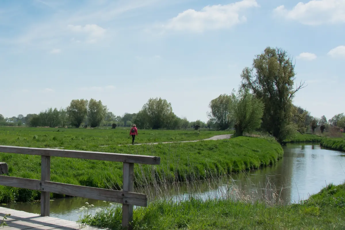 Wandelmarathon Roos van Roosendaal — Nispenseweg 5, Roosendaal