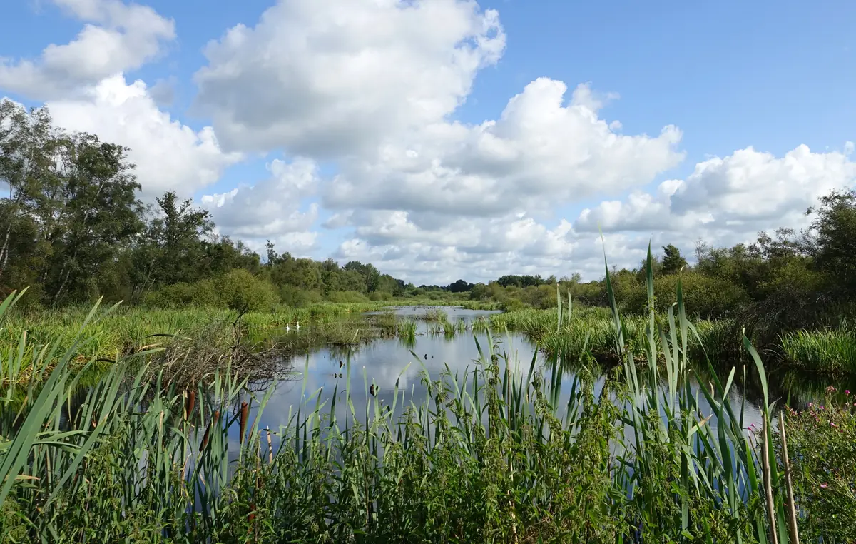 Exkursion vom Natuurpoort durch das Deurnese Peel — Deurne