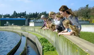 Sonntag Wassertag