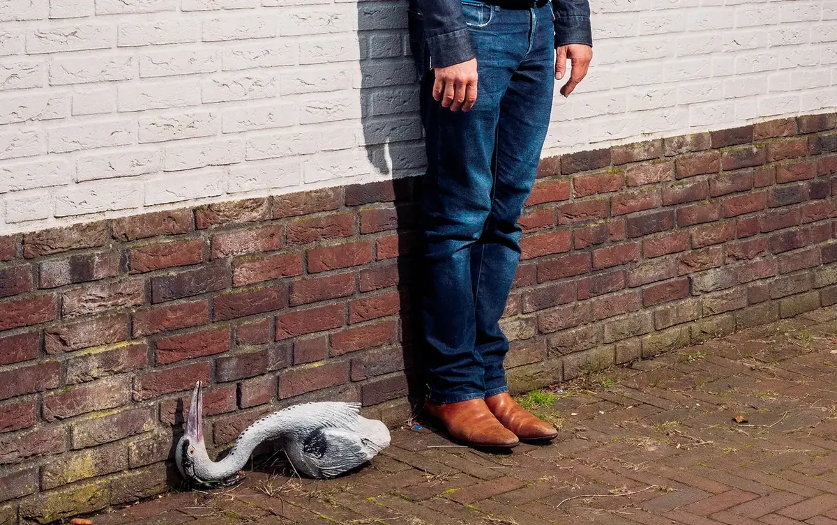 Kabarett: Ronald Snijders — Veghel