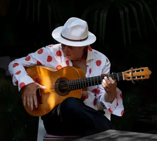 Flamenco bei Vollmond im Beeldentuin Cuijk