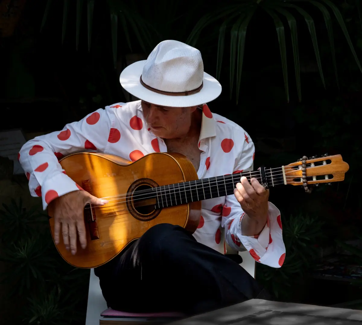 Flamenco by Full Moon in Beeldentuin Cuijk — Cuijk