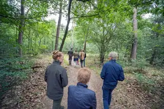Spaziergang über den Naturfriedhof