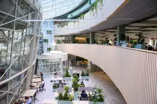 Living Library UM 50