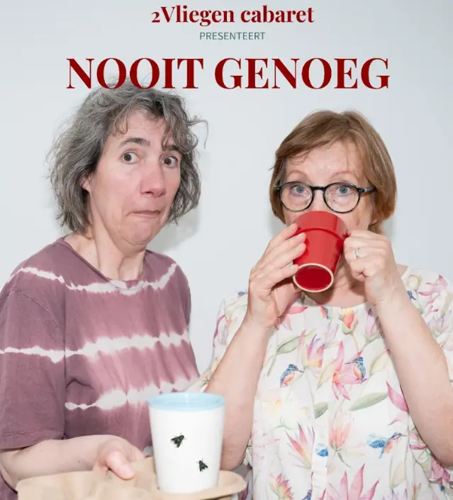 Nie genug - Kabarett-Duo 2Vliegen — Helmond