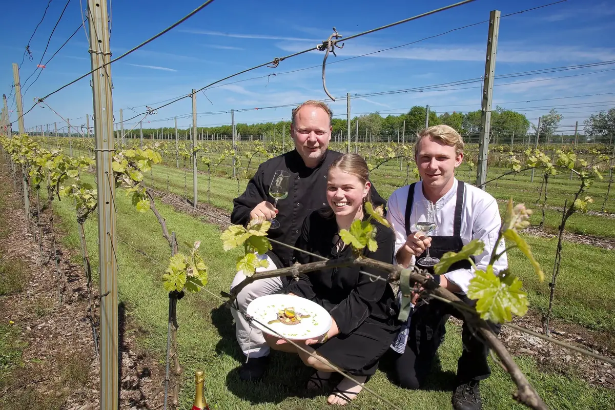 Vineyard tour and tasting — Ruinerwold
