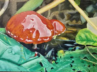 Sommerausstellung | Zweeloo