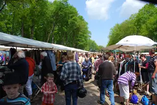 Hondsrugmarkt Zuidlaren