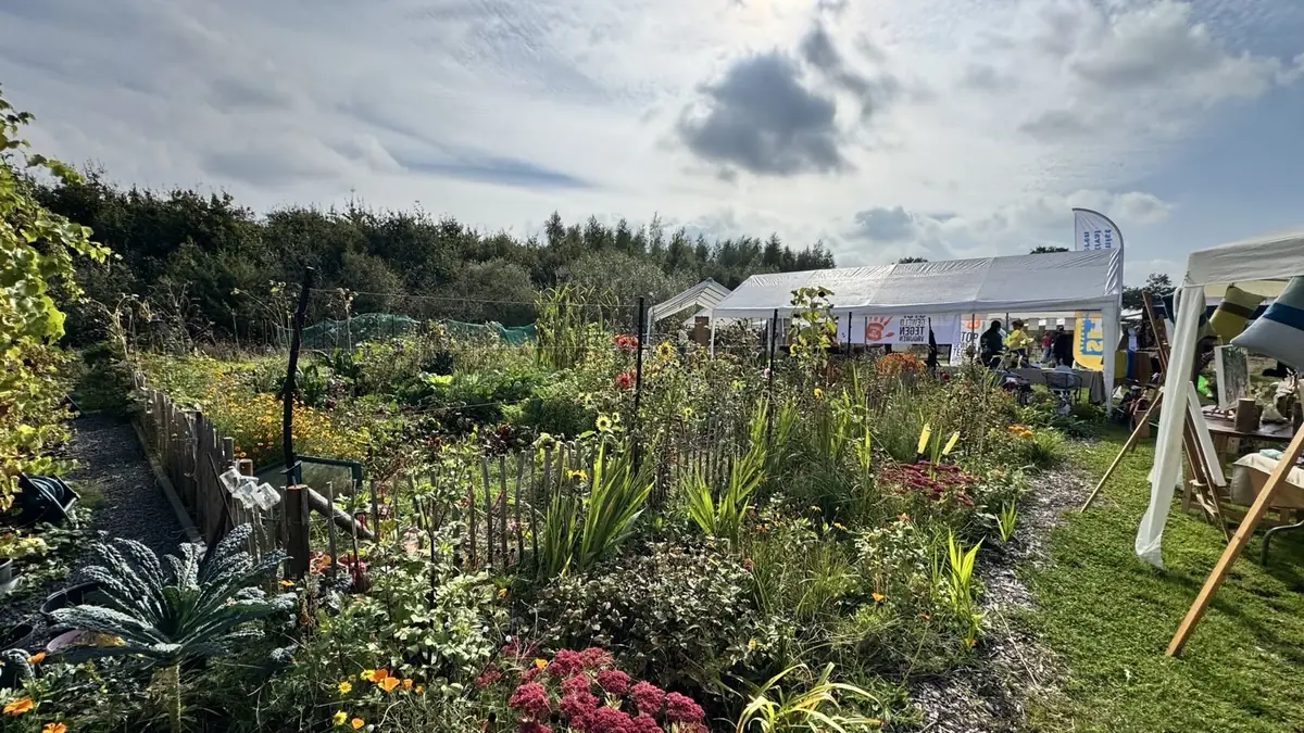 The Green Inspiration Market (De Grim) — Kanaal nz 6, Hooghalen