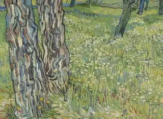 Vortrag von Renske Cohen - 'Van Gogh, alle unsere Gemälde'