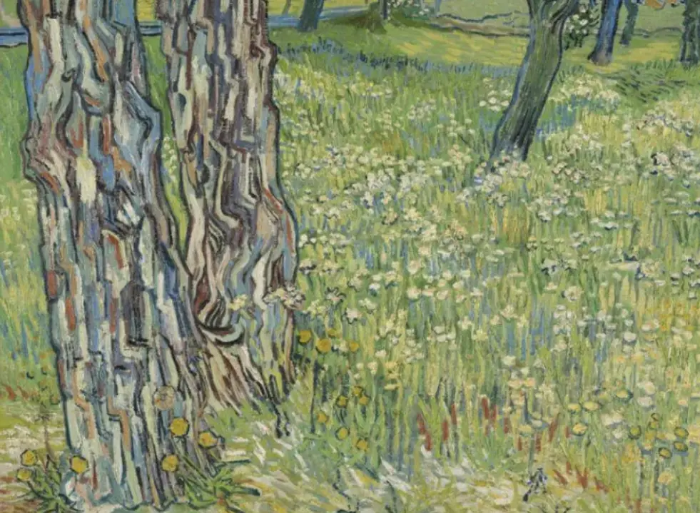 Vortrag von Renske Cohen - 'Van Gogh, alle unsere Gemälde' — Van Goghstraat 1, Nieuw-Amsterdam