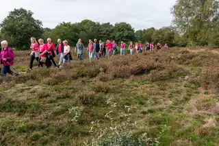 Pink Walk Westerbork