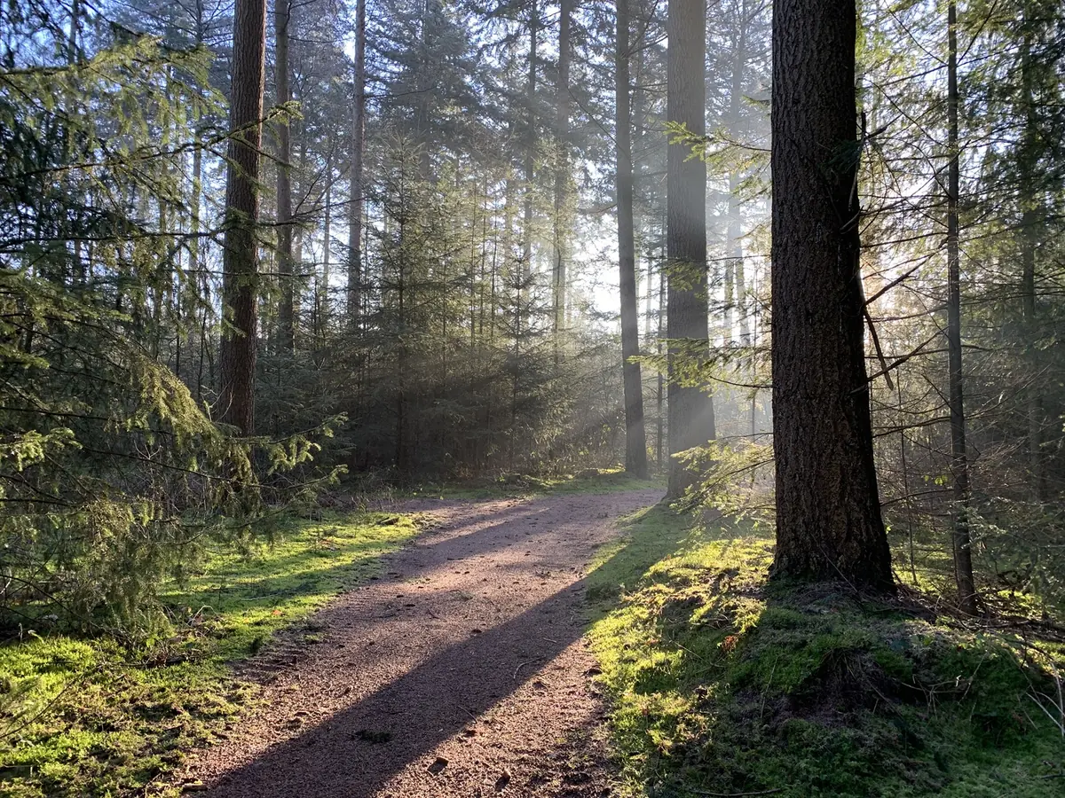 Ein philosophischer Blick auf das Sterben | Vortrag — Provincialeweg 3, Eext