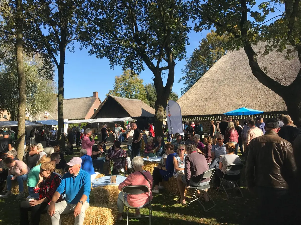 Autumn in the Fields — Zuidvelde