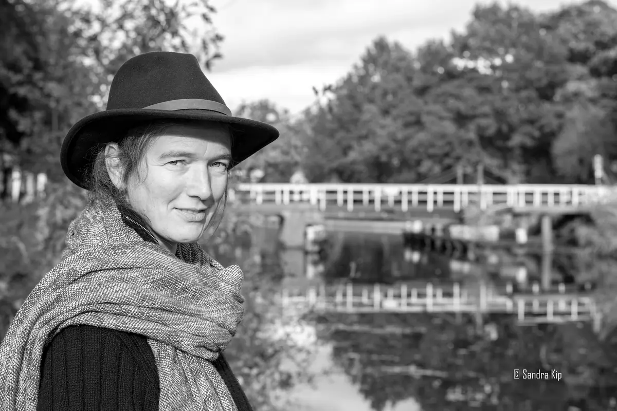 Vincent van Gogh, a Stranger in Southeast Drenthe — Dommersweg nabij Noordpoolijs, Nieuw Amsterdam