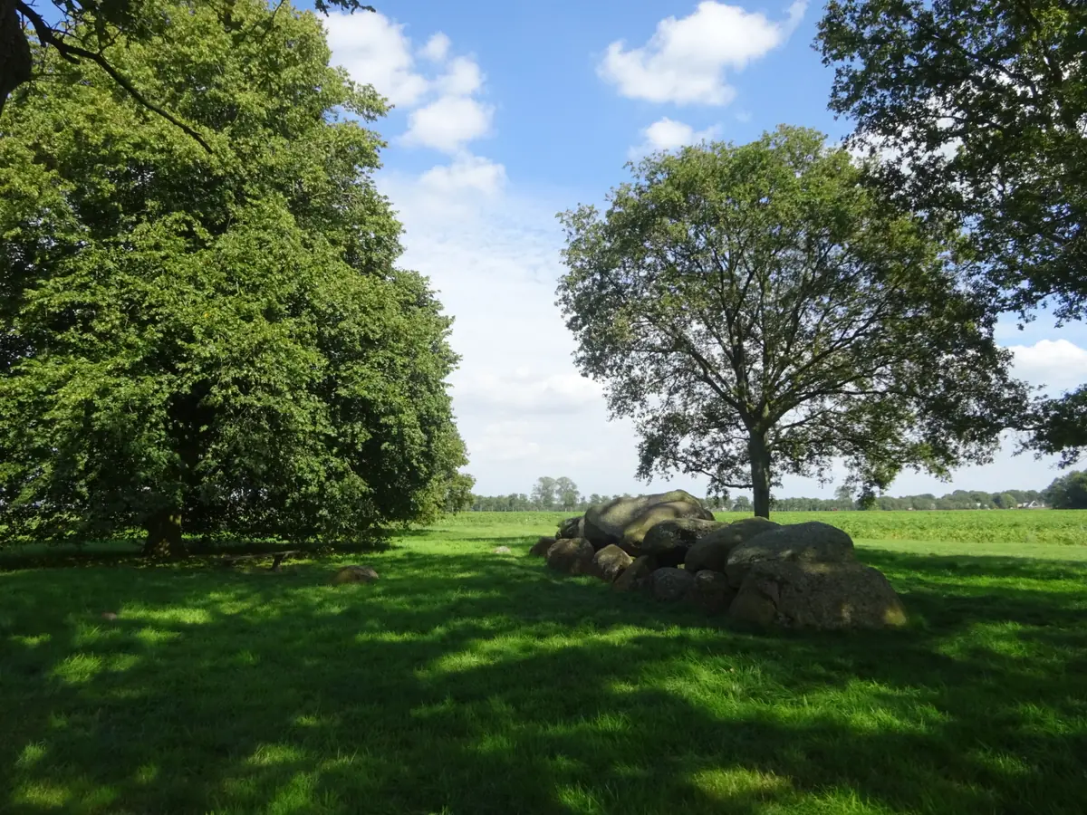 Wildkräuter-Sammelwanderung im Naturgebiet Kampsheide — Weg voor de Strengen, Balloo