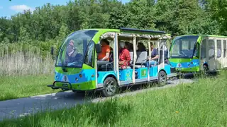 Ökoauto-Fahrt durch das Horsterwold