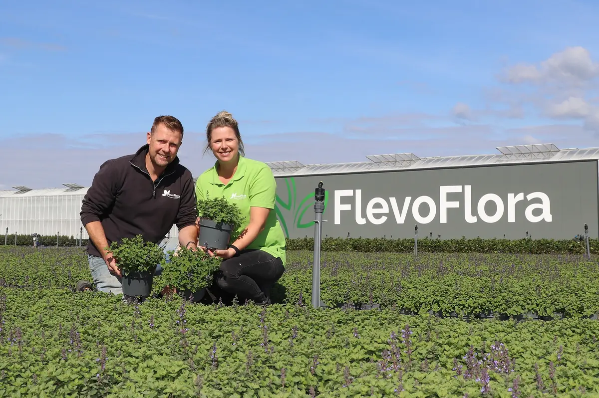 FlevoFlora Besichtigungs- und Verkaufstag — Marknesse