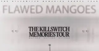 Flawed Mangoes