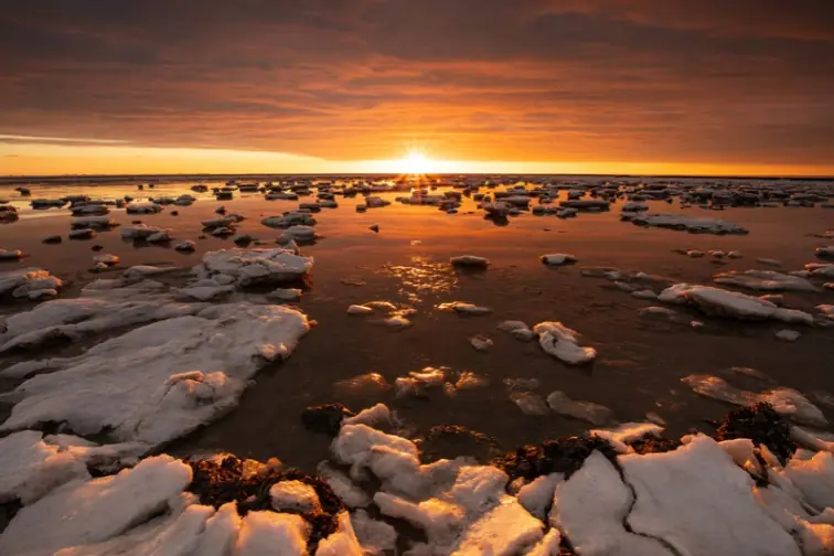 Ausstellung Die Wadden — Emmen centrum, Emmen