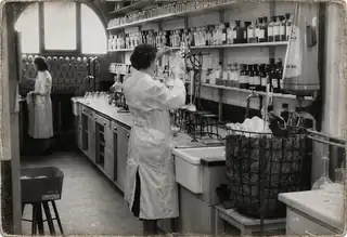 Een Neusje voor Geschiedenis: geurreis door het verleden