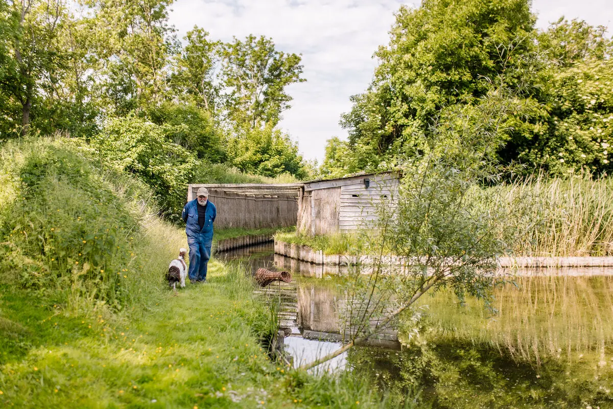 Exkursion Eendenkooi Nieuw Onrust — Westpolder, Hornhuizen