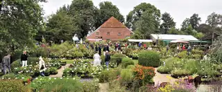 Herbst-Pflanzenmarkt