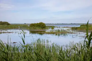 Botanical walk in Leinwijk