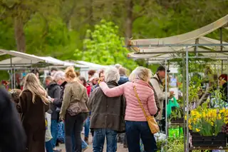 Hortusfestival - 400 Jahre Wachstum