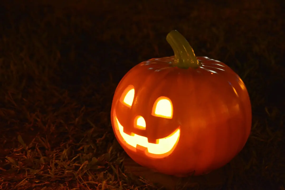October Children's Month: Pumpkin Carving — Midwolda