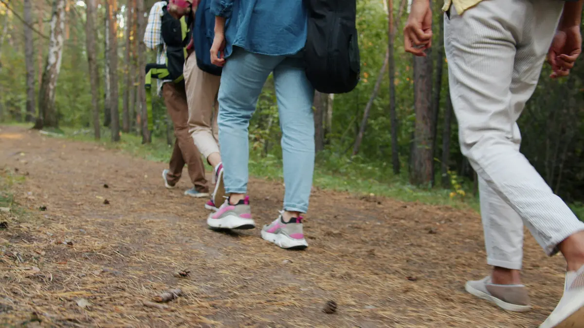 Wanderung D'n Brouwer — Dobbelsteenplein 1, Mariaheide