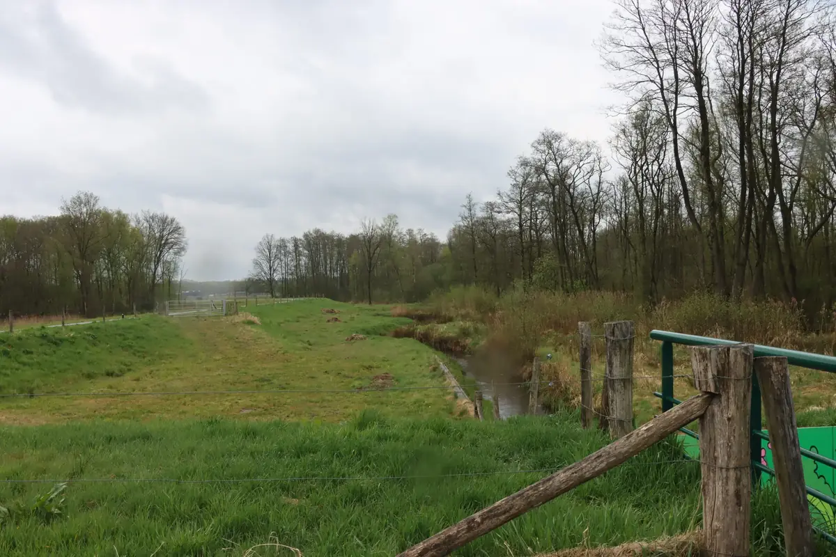 Fietsen naar en wandelen door Groot Goor — IVN Mierlo, Mierlo