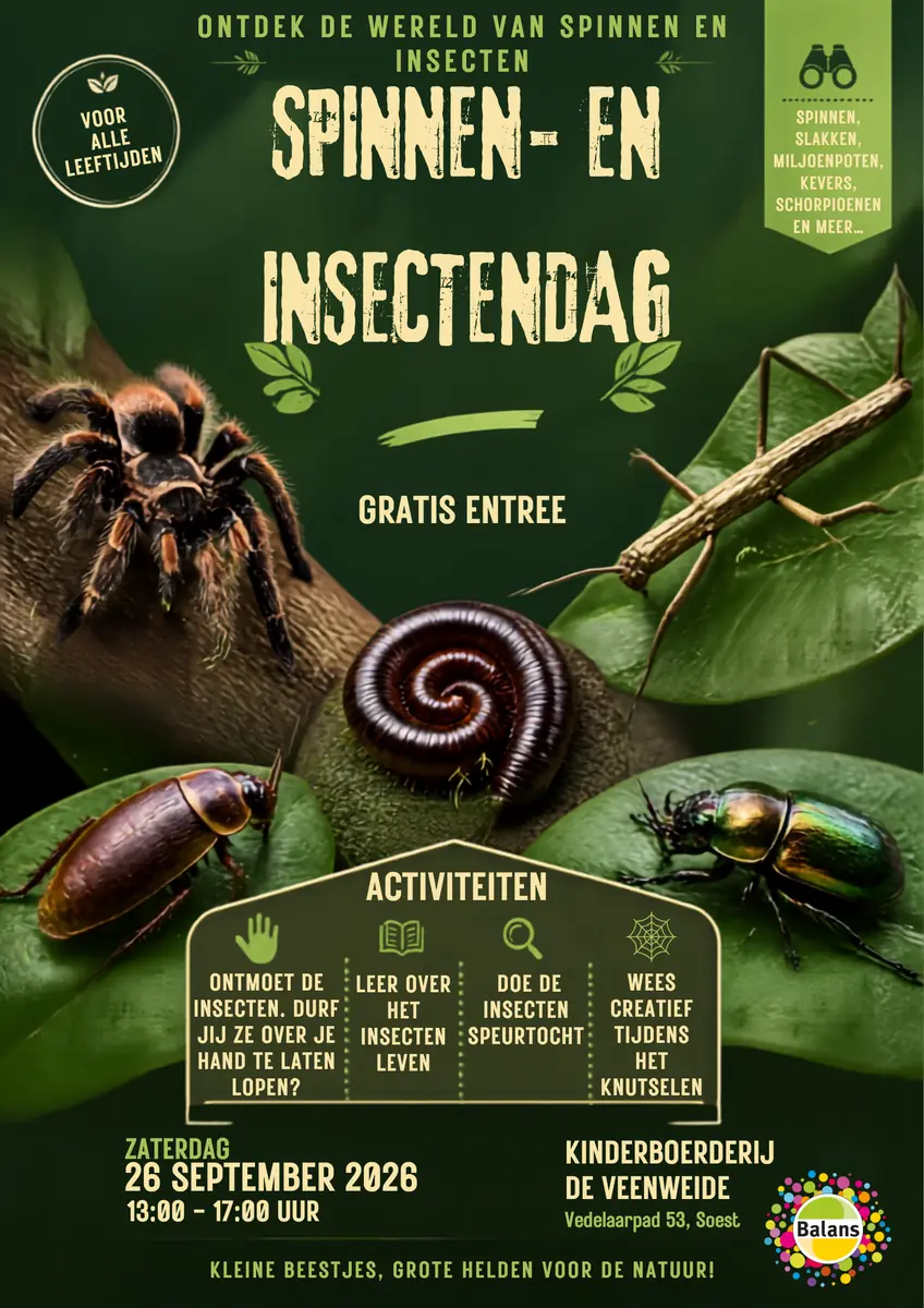 Spinnen- und Insektentag — Balans Kinderboerderij De Veenweide, Soest