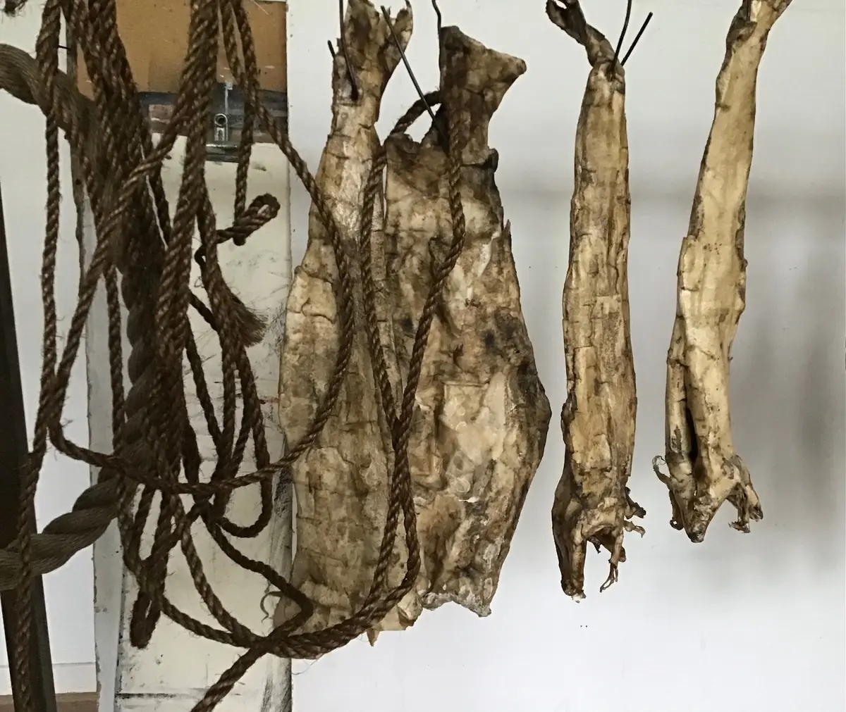 Expositie Adem van het Noorden — Termunterzijl