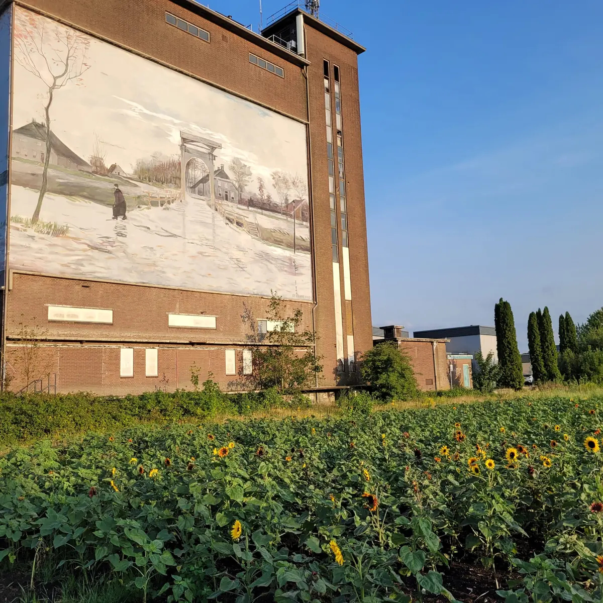 Tuin | Van Gogh Bloemenweide — Veenoord