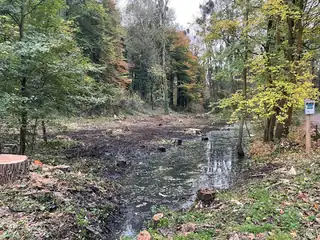 Exkursion: Naturschutz im Naturschutzgebiet Terworm